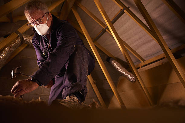 Best Insulation for Specific Applications in Lam, AR